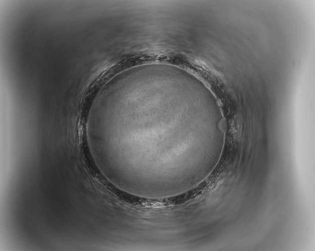 X0000096481302200801241436