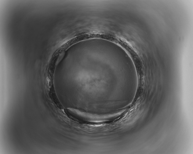 X0000096481303200801241436