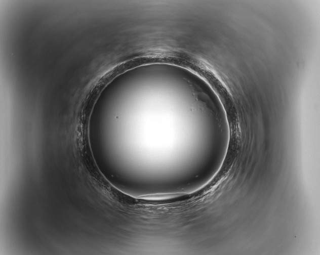 X0000096481304200801241436