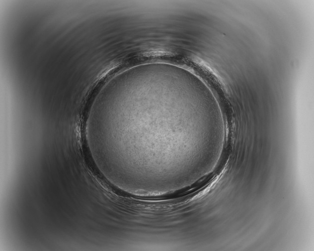 X0000096481305200801241436