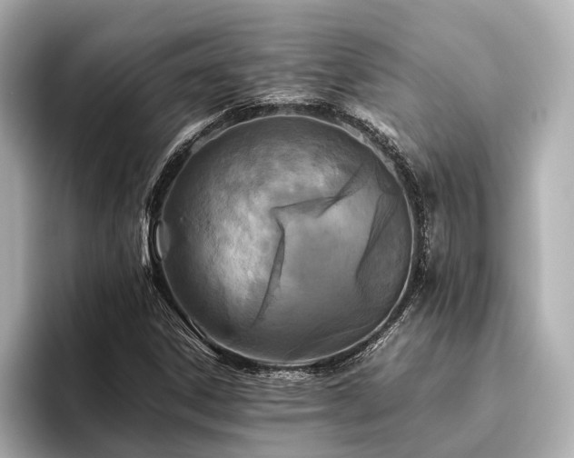 X0000096481306200801241436