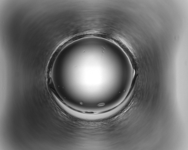 X0000096481308200801241436