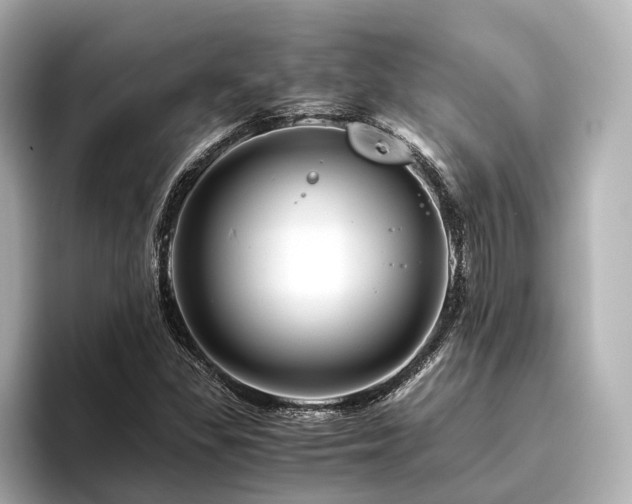 X0000096481309200801241436