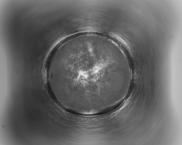 X0000096481310200801241436