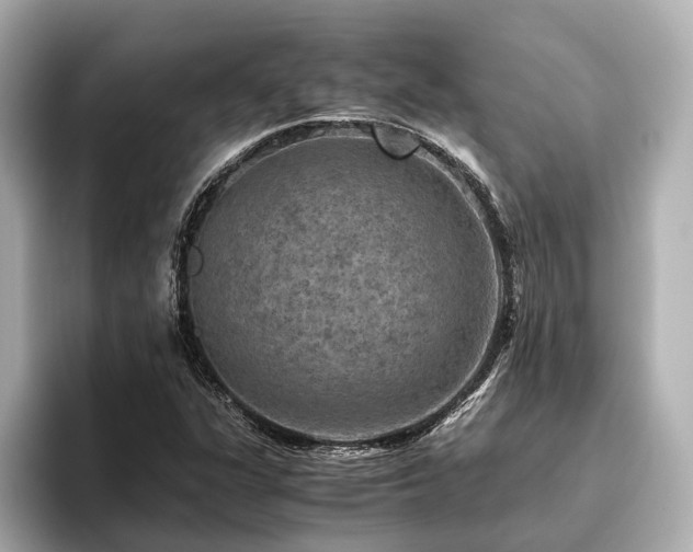 X0000096481311200801241436