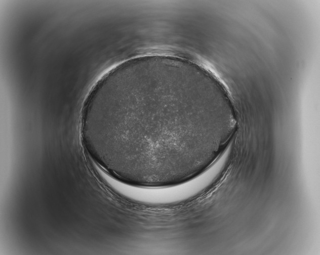 X0000096481312200801241436