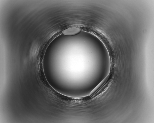 X0000096481313200801241436