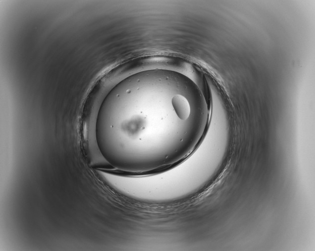 X0000096481314200801241436