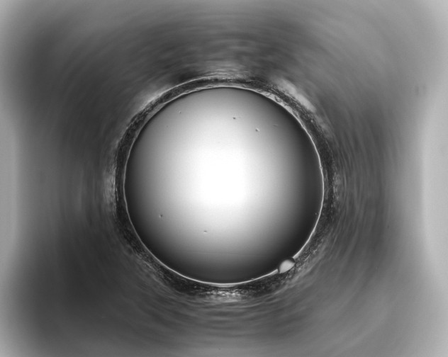 X0000096481315200801241436