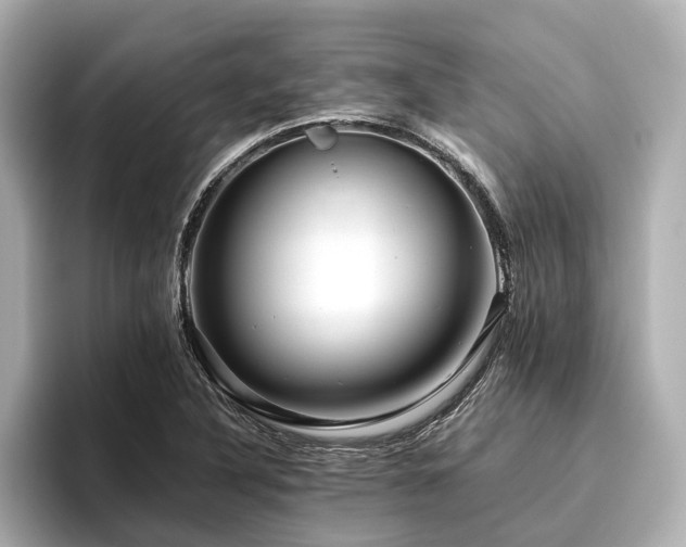 X0000096481316200801241436