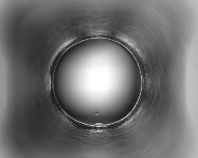 X0000096481317200801241436