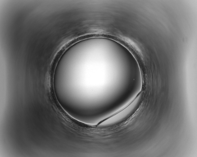 X0000096481318200801241436