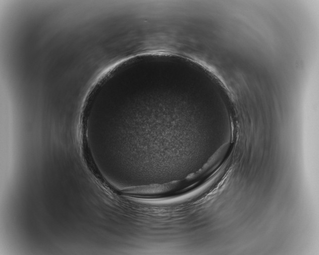 X0000096481319200801241436