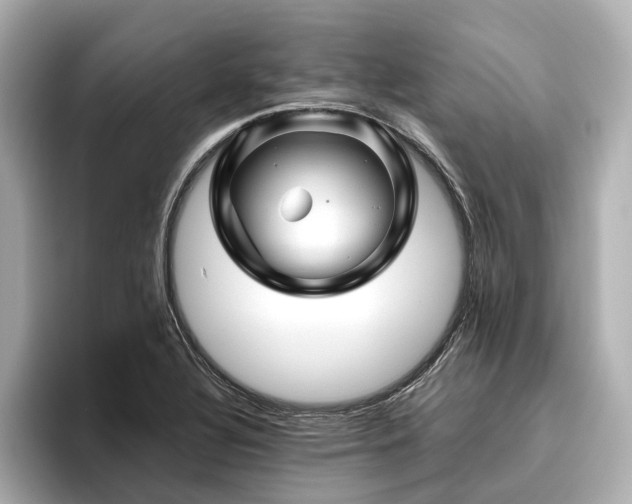 X0000096481320200801241436