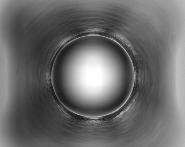 X0000096481321200801241436