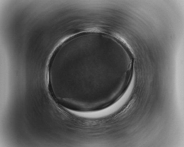 X0000096481323200801241436