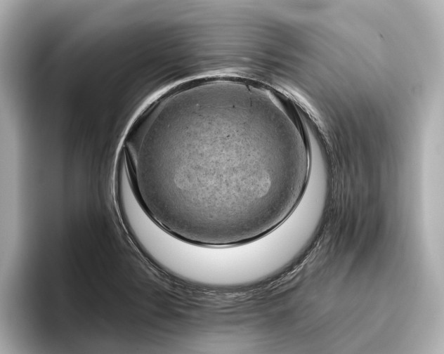 X0000096481324200801241436