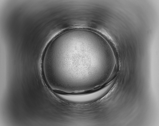 X0000096481325200801241436