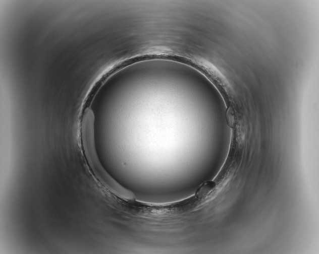 X0000096481326200801241436