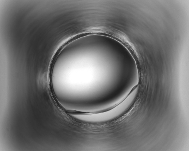 X0000096481328200801241436