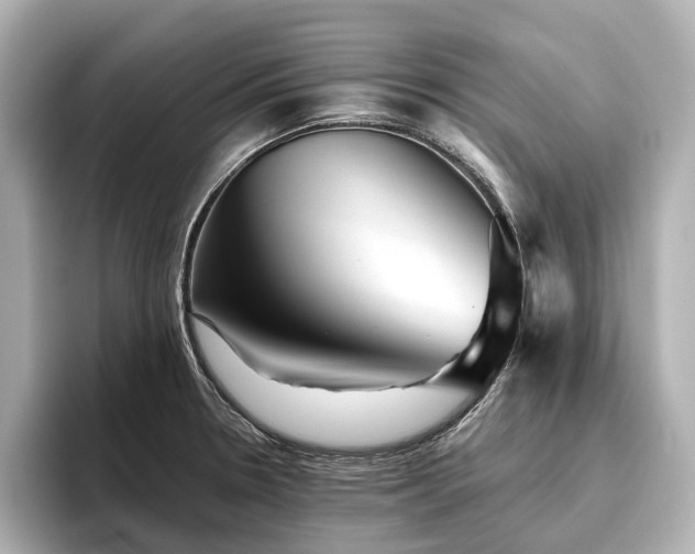 X0000096481330200801241436