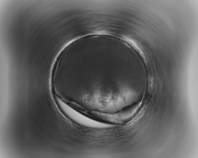 X0000096481331200801241436