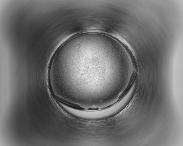 X0000096481333200801241437