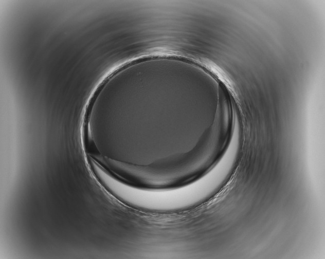 X0000096481334200801241437