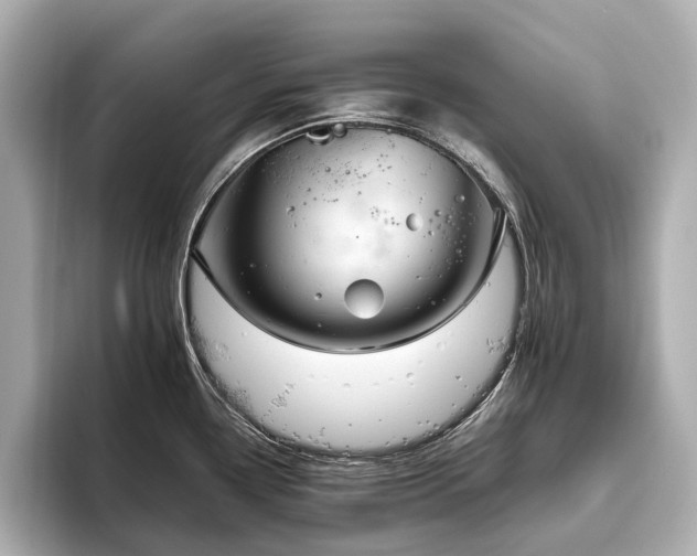 X0000096481338200801241437