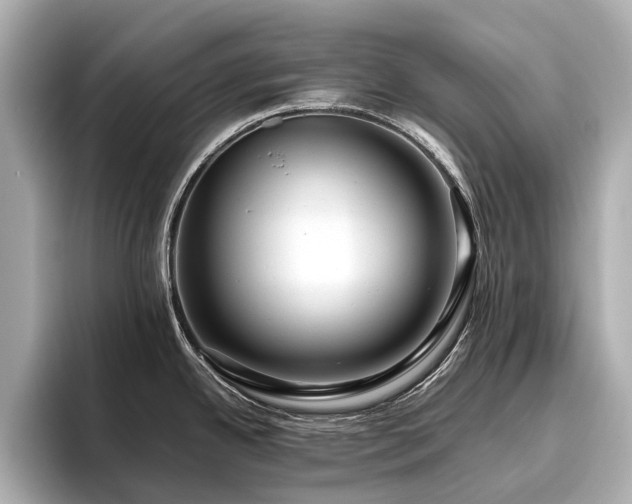 X0000096481342200801241437