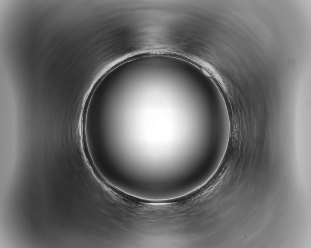 X0000096481343200801241437