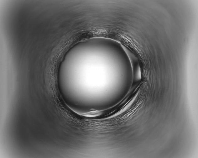 X0000096481345200801241436