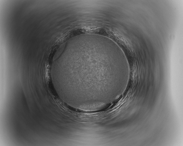 X0000096481346200801241436