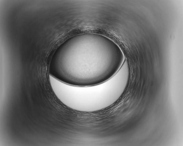 X0000096481348200801241436