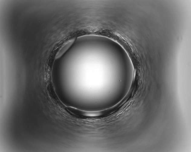 X0000096481349200801241436