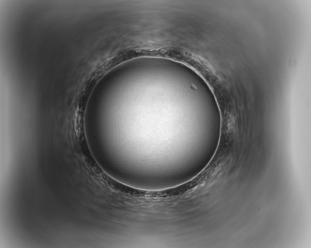 X0000096481350200801241436