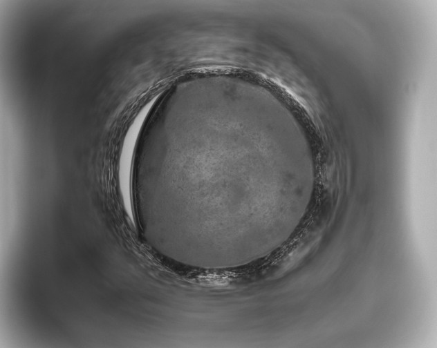 X0000096481351200801241436