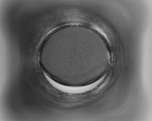 X0000096481352200801241436