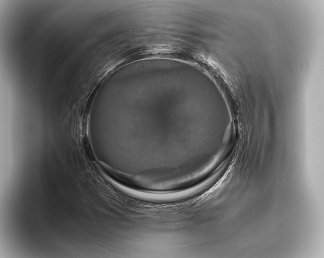 X0000096481353200801241436