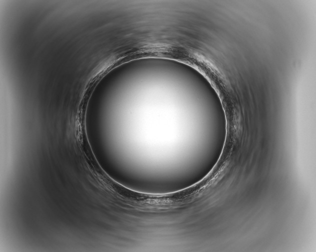 X0000096481354200801241436