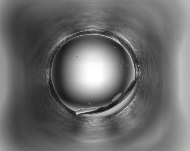 X0000096481355200801241436