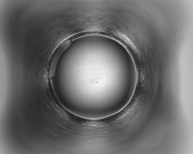 X0000096481356200801241436