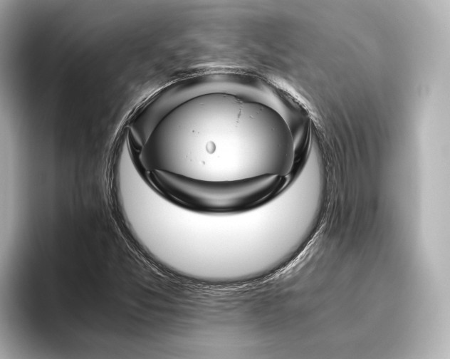 X0000096481357200801241436