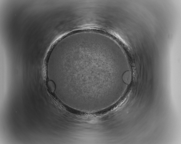 X0000096481358200801241436