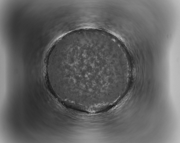 X0000096481359200801241436