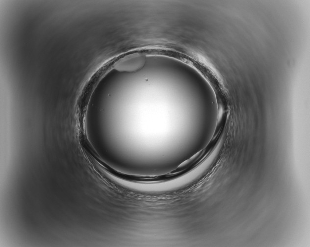 X0000096481360200801241436