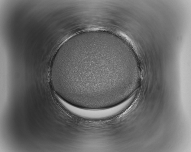 X0000096481361200801241436