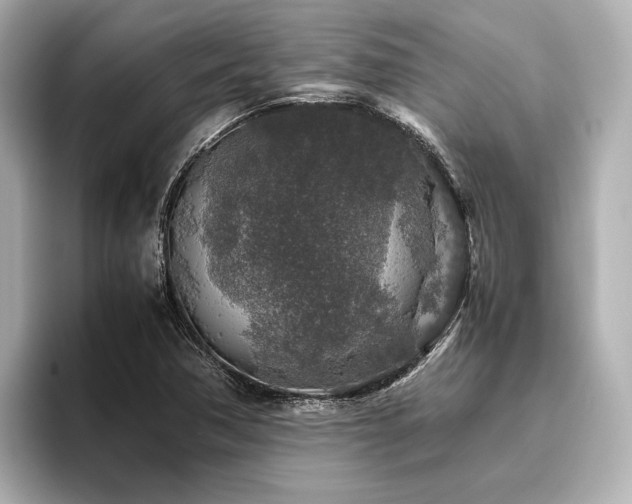 X0000096481362200801241436
