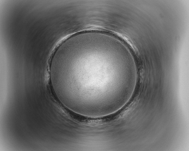 X0000096481363200801241436