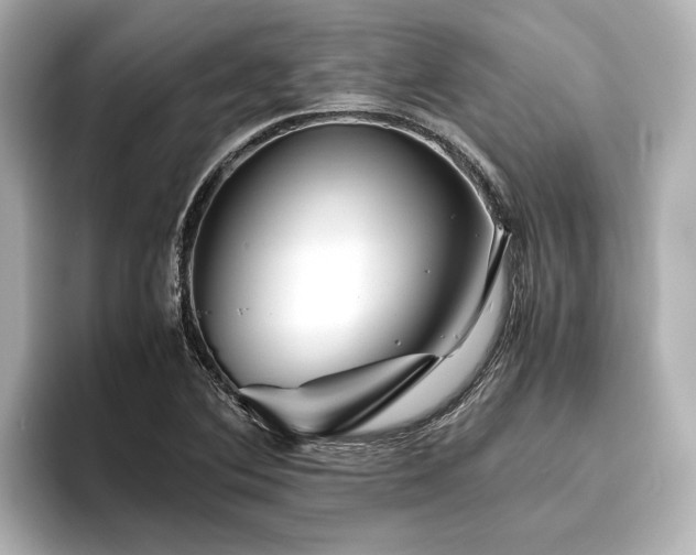 X0000096481364200801241436